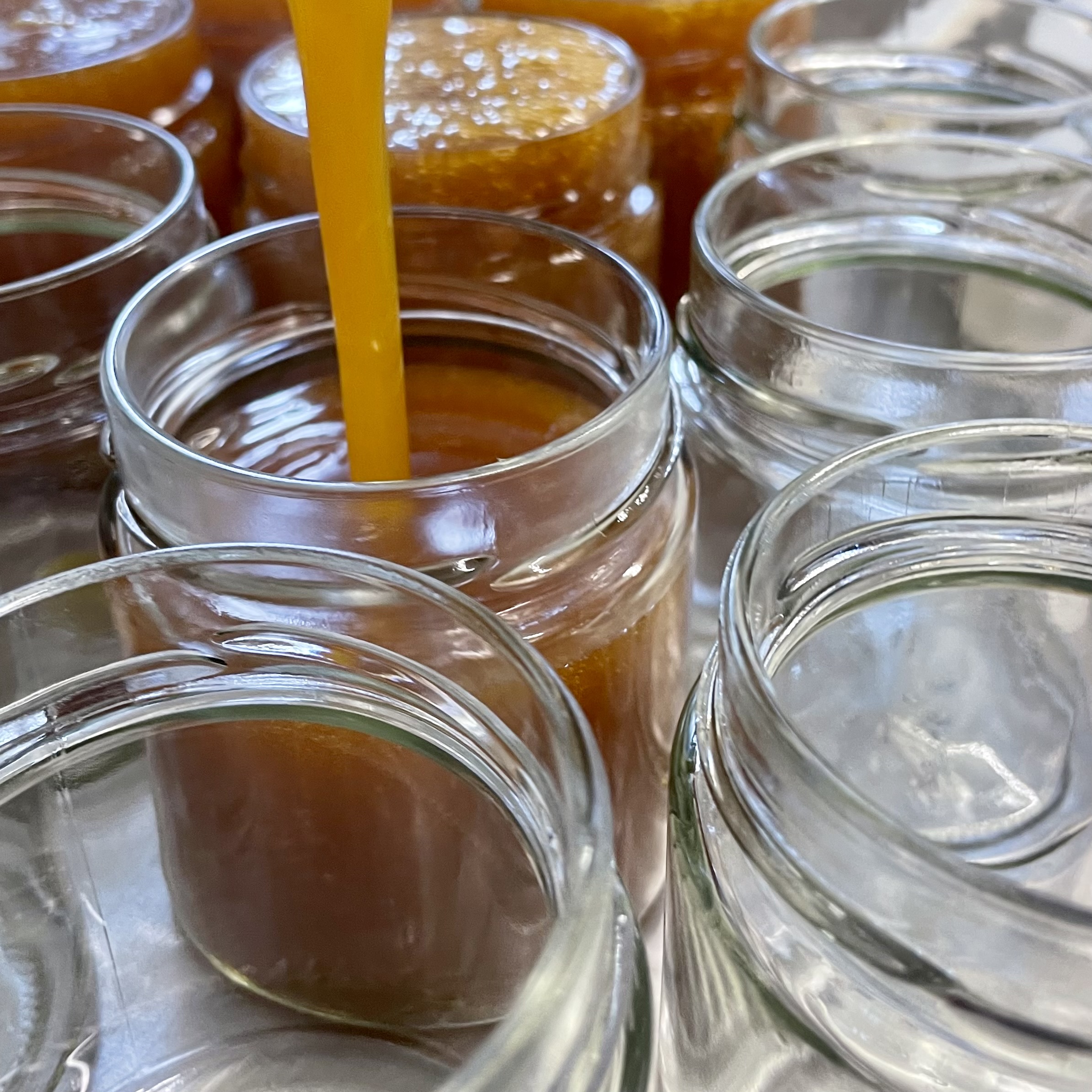 Passionsfrucht-Karamell-Konfitüre – Konditorei &amp; Kaffeerösterei caramel